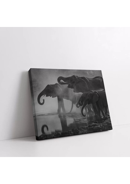 Fil Sürüsü Kanvas Tablo fiyatları