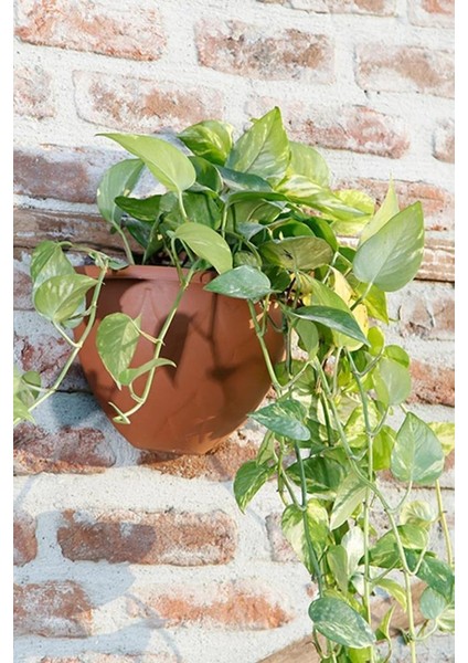 SO-DD01 Dekoratif Damla Duvar Saksı 1.4 Litre Kiremit 6 Adet modelleri