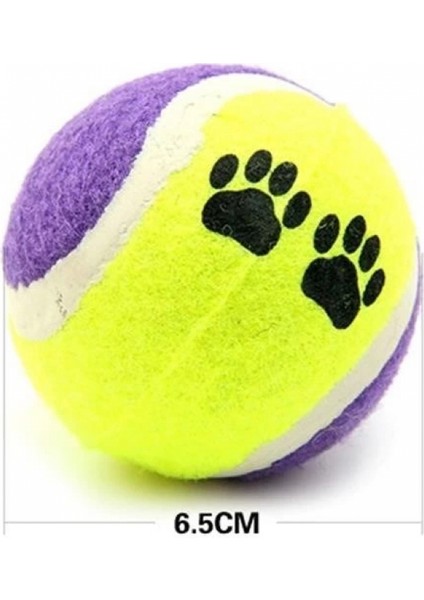 3lü Renkli Desenli Tenis Topu Kedi Köpek Oyuncağı fırsatları