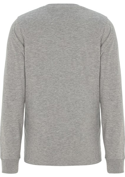 Tylor Erkek Gri Sweatshirt modelleri