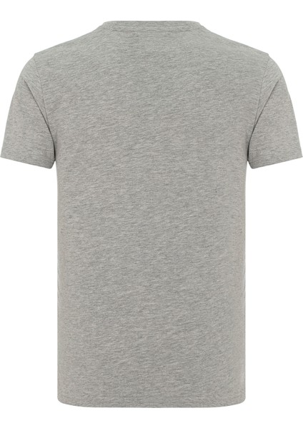 Tully Erkek Gri Tişört fiyatları