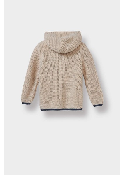 Erkek Bebek Nakışlı Kapüşonlu Düğmeli Triko Hırka C8863A525AU modelleri