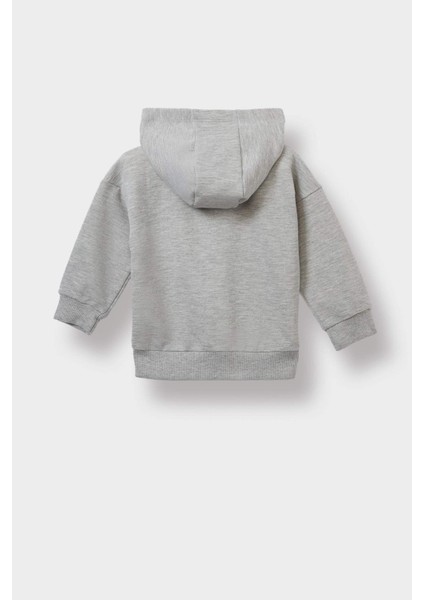 Erkek Bebek Kapüşonlu Fermuarlı Sweatshirt E8697A525AU modelleri