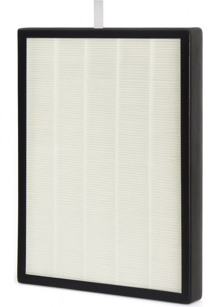 Vigor Plus Hepa + Karbon Filtre - Purmed Filter fiyatları