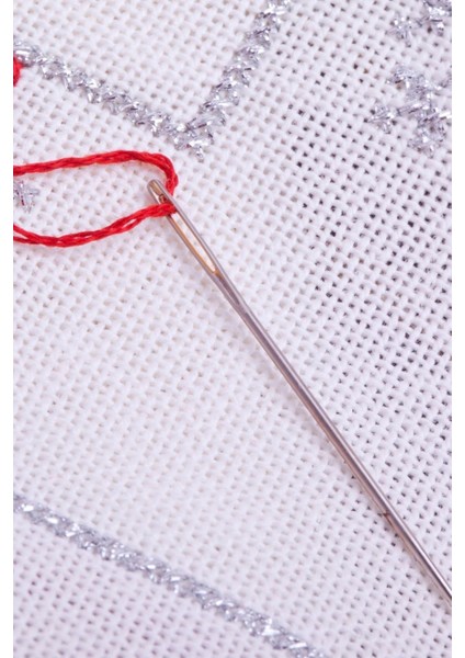 Dikiş Nakış Iğnesi 16'lı fiyatları