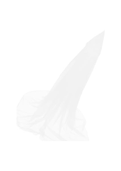 Sivrisinek Ağı Patio Için Sivrisinek Ağı Böcek Kuş Ağı Bahçe Koruması Için Ağ Bahçe Ağı Nefes Alabilen Ki Örtüleri Sebzeleri Meyveleri Kuşlardan Böceklerden Korur (Yurt Dışından)