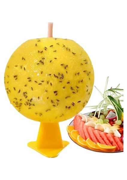 Sinek Tuzağı Iç Mekan Yapışkanlı - Ev Kullanımı Için Küçük Sinek Yapışkan Tuzakları,güvenli Kokusuz Güve Yakalama Cihazı Çeşitli Ev Mutfak Oturma Odası Yurt Dış Mekan Kamp Ala (Yurt Dışından)