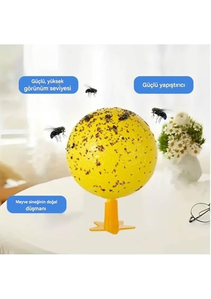 Sinek Tuzağı Iç Mekan Yapışkanlı - Ev Kullanımı Için Küçük Sinek Yapışkan Tuzakları,güvenli Kokusuz Güve Yakalama Cihazı Çeşitli Ev Mutfak Oturma Odası Yurt Dış Mekan Kamp Ala (Yurt Dışından) fiyatları