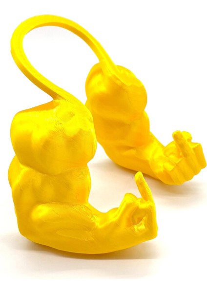 Kedi'nin Yaratıcı Kaslı Kol Taklidi (Yurt Dışından)