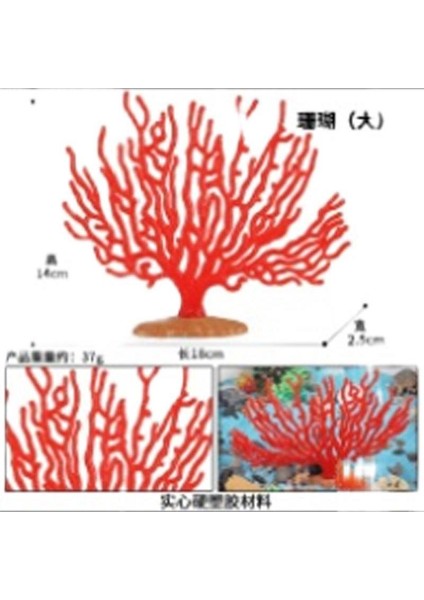 Simülasyon Deniz Hayvanı Modeli (Yurt Dışından)