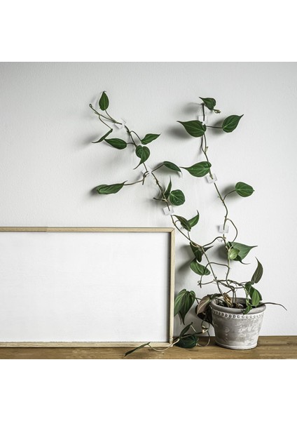 50 Adet Yapışkanlı Bitki Tırmanma Klipsi (Beyaz)