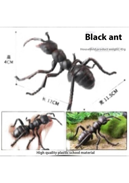 Böcek Hayvan Maket Oyuncakları Yağmur Ormanı Zehirli Örümcek (Yurt Dışından)