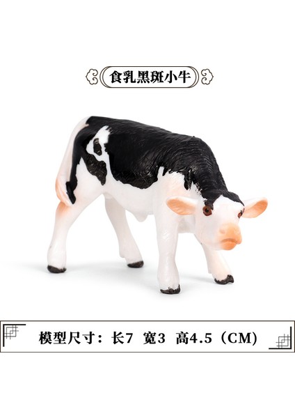 Simülasyon Hayvan Modeli Inek (Yurt Dışından)