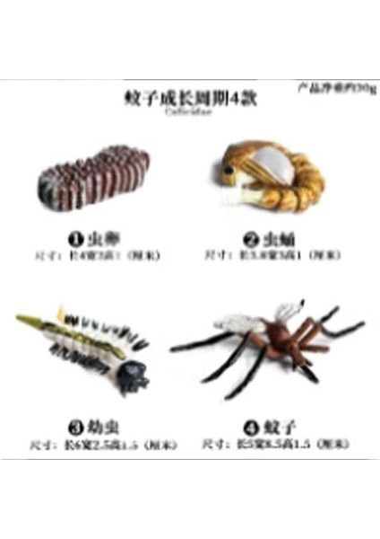 Simülasyon Hayvan Modeli Inek (Yurt Dışından)