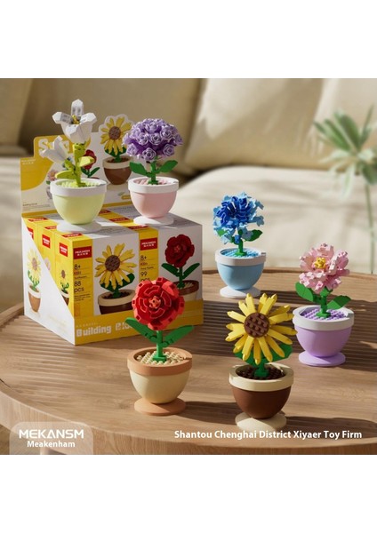 Sütlü Çay ve Kahve Rüya Dükkanı Artikül Yapı Taşları (Yurt Dışından)