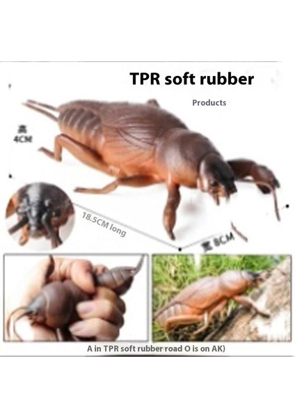 Böcek Hayvan Modelleri Oyuncaklar (Yurt Dışından)