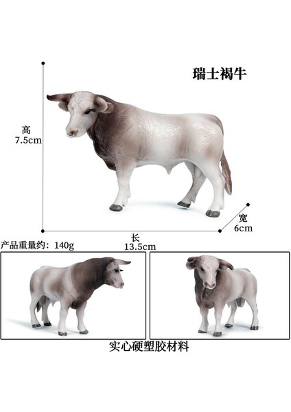 Simülasyon Hayvan Modeli Inek (Yurt Dışından)