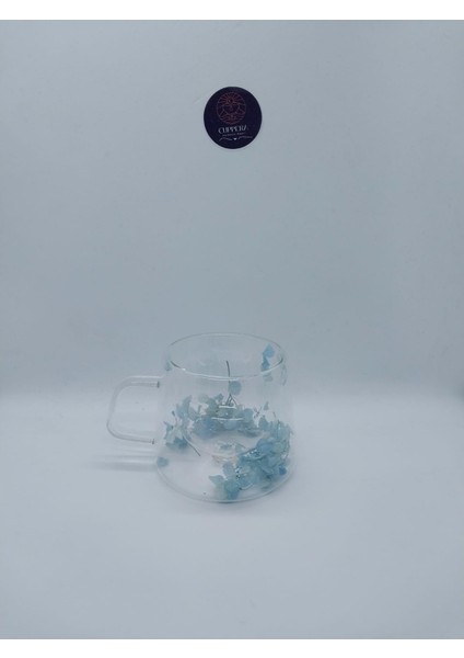 Isıya Dayanıklı Çift Çidarlı Kurutulmuş Canlı Mavi Çiçekli Kupa