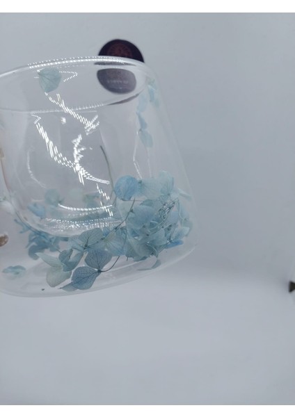 Isıya Dayanıklı Çift Çidarlı Kurutulmuş Canlı Mavi Çiçekli Kupa modelleri