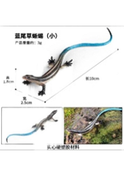 Böcek Hayvan Maket Oyuncakları Yağmur Ormanı Zehirli Örümcek (Yurt Dışından)