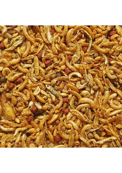 River Shrimps 11LT 1600GR fiyatları