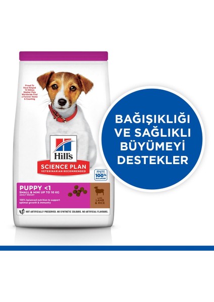 Küçük Irk Kuzulu & Pirinçli Yavru Köpek Maması 1,5 kg fırsatları