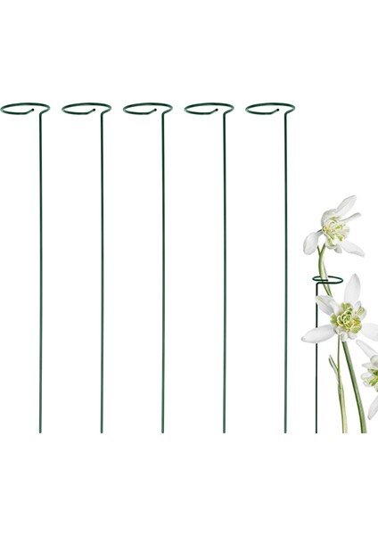 Paket Bahçe Tesisi Destek Kazıkları Tek Kök Destek Kazığı Bitki Kafesi Destek Halkaları Çiçekler Dik Bitki Yetiştirme Kök (Yurt Dışından) modelleri