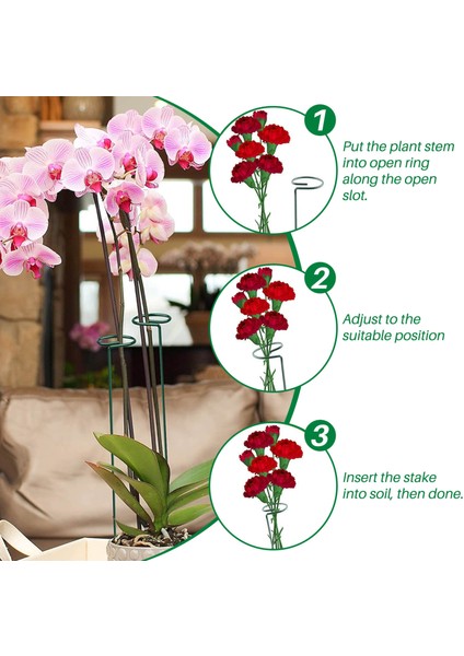 Paket Bahçe Tesisi Destek Kazıkları Tek Kök Destek Kazığı Bitki Kafesi Destek Halkaları Çiçekler Dik Bitki Yetiştirme Kök (Yurt Dışından) indirimleri