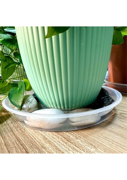 4 Paket Şeffaf Bitki Tabağı 12 Inç Plastik Bitki Tabağı Dayanıklı Kalın Bitki Tepsisi Saksı Iç Mekan Dış Mekan Bahçe Için (Yurt Dışından) modelleri