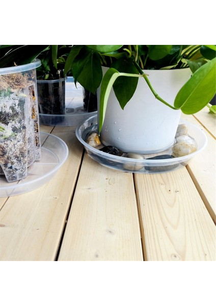 4 Paket Şeffaf Bitki Tabağı 12 Inç Plastik Bitki Tabağı Dayanıklı Kalın Bitki Tepsisi Saksı Iç Mekan Dış Mekan Bahçe Için (Yurt Dışından) fırsatları