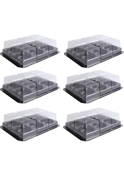 100 Adet 6 Kaviteler Plastik Mooncake Tepsisi Şeffaf Muffin Cupcake Mochi Konteyner Çerez Taşıyıcı Gıda Ambalaj Kutusu (Yurt Dışından)