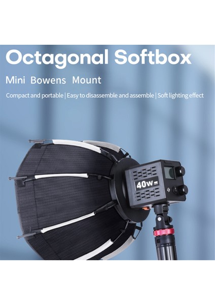 30CM Sekizgen Softbox Mini Bowens Montajlı Hızlı Çıkarılabilir Petek Izgara Softbox ZU60 Veya M60 Cob Dolgu Işığı Stüdyosu Için (Yurt Dışından) fırsatları