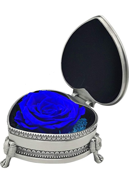 Ebedi Gül Kalp Şeklinde Metal Mücevher Kutusu Anneler Günü Sevgililer Günü Yıldönümü Mükemmel Hediye, Mavi (Yurt Dışından)