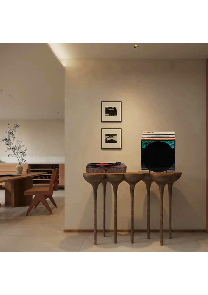 Vinil Kayıt Depolama Tutucu Vinil Ip Kayıtları Standı - Albüm Depolama Organizatör Ekran Standı Taşınabilir Kitap Ekran Standı (Yurt Dışından) indirimleri