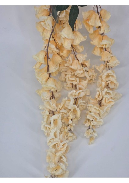 Somon Rengi Sarkan Çan Çiçeği Ev ve Dekor