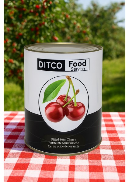 Ditco Food Service Vişne Konservesi 5/1 4350 gr