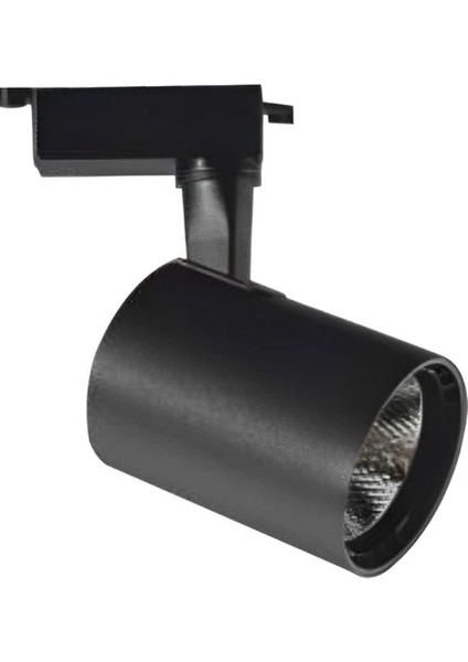 30 W Ray Spot Armatür Gün Işığı CT-5334