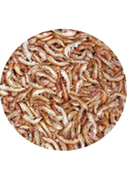 Gammarus Kaplumbağa Yemi 11LT 1200GR