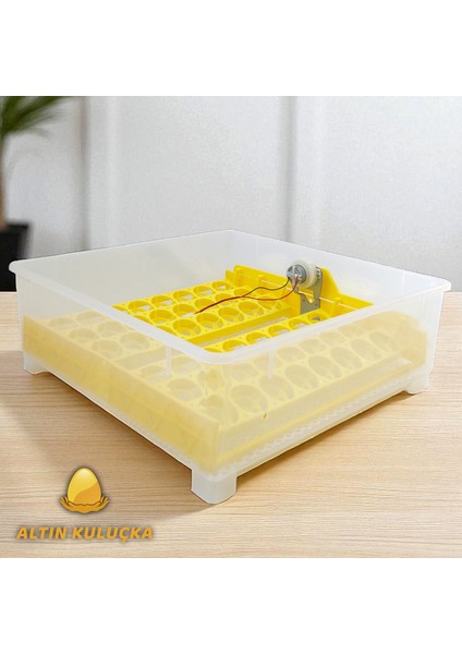 56 Lık Kuluçka Makinesi Çift Güç (220/12 Volt) indirimleri