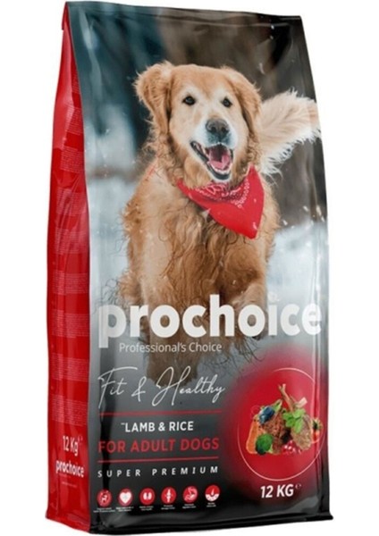 Adult Lamb Plus Kuzu Etli Yetişkin Köpek Maması 12 kg