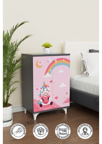 Pink Dream 2 Raflı Çok Amaçlı Dolap Çocuk Odası Dolabı