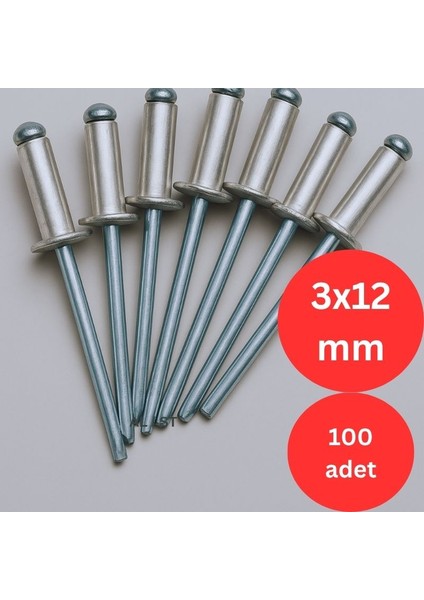 100 Adet Pop Perçin Alüminyum - Çelik ( Al/st )