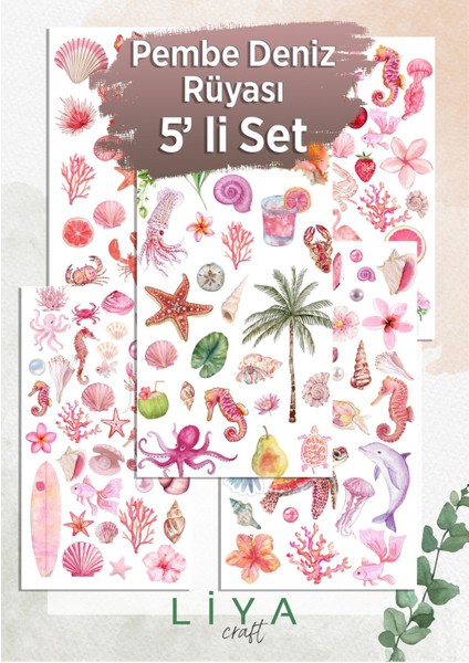 5'li Pembe Deniz Rüyası Sticker Set Planner Ajanda Bullet Journal Için Uygun Set