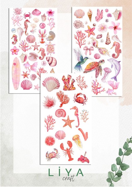 5'li Pembe Deniz Rüyası Sticker Set Planner Ajanda Bullet Journal Için Uygun Set fiyatları