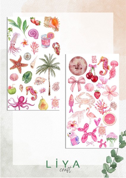 5'li Pembe Deniz Rüyası Sticker Set Planner Ajanda Bullet Journal Için Uygun Set modelleri
