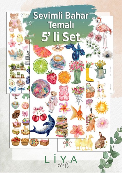 5'li Sevimli Bahar Sticker Set Planner Ajanda Bullet Journal Için Uygun Set