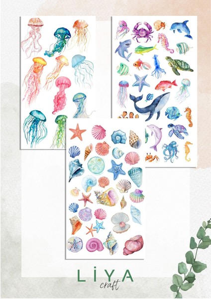 5'li Denizin Derinilkleri Sticker Set Planner Ajanda Bullet Journal Için Uygun Set fiyatları