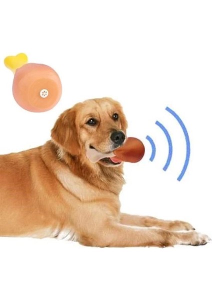 Köpekler Için Oyuncak Tavuk Budu modelleri