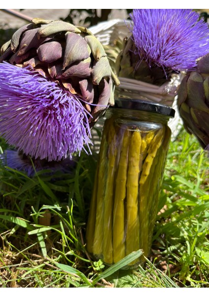 Kuşkonmaz Konserve 500CC fırsatları