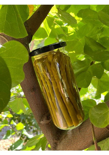 Kuşkonmaz Konserve 500CC indirimleri